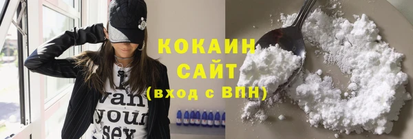 сатива Горняк