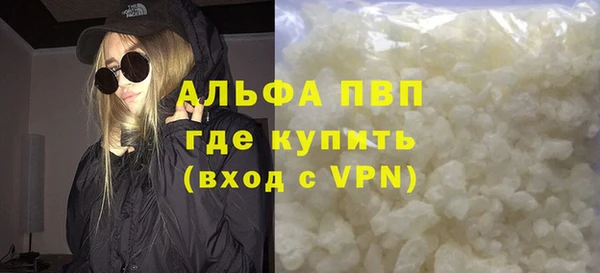 сатива Горняк