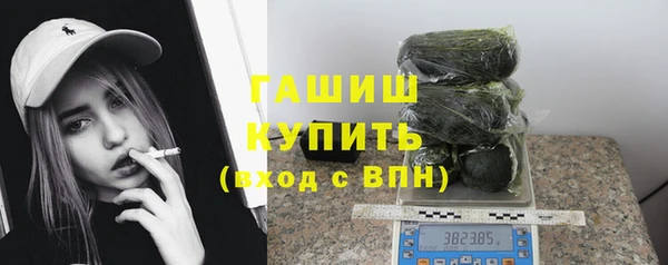 сатива Горняк