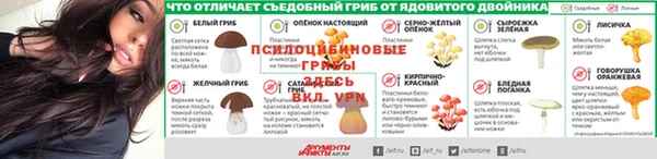 дурь Горнозаводск