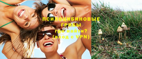 сатива Горняк