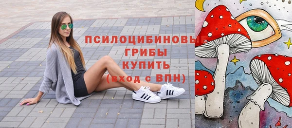 сатива Горняк