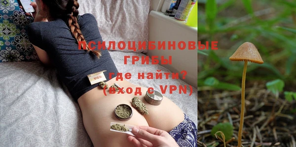 сатива Горняк