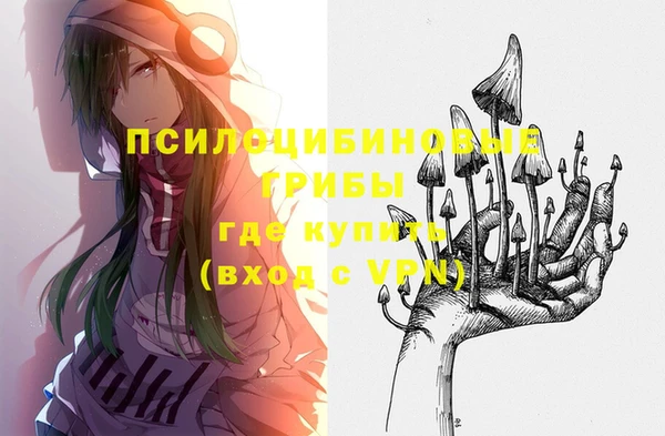 дурь Горнозаводск