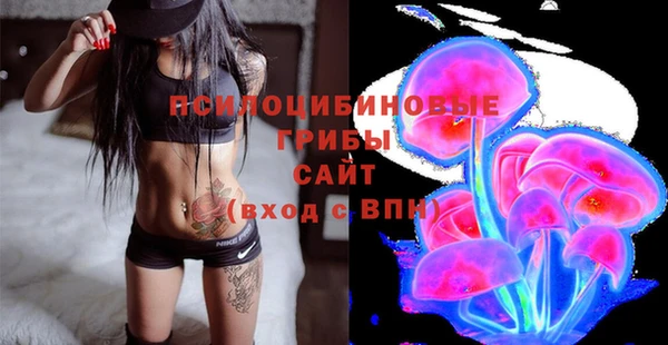 MDMA Вяземский