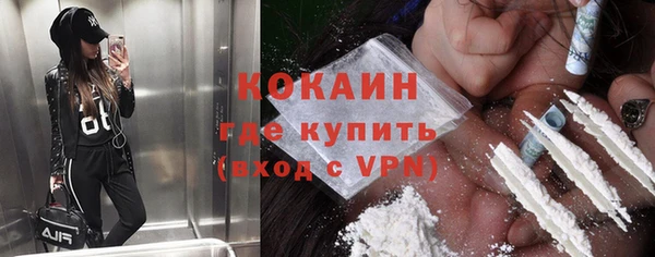 сатива Горняк