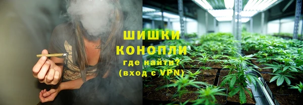молекула духа Горно-Алтайск